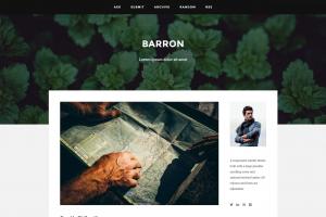 barron-content-focus-tumblr-theme