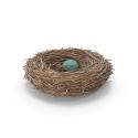 bird-nest-proshare