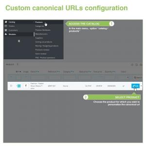 canonical-urls-to-avoid-duplicate-content-seo-012