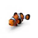 clownfish-proshare