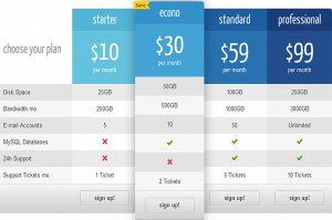 css3-responsive-web-pricing-tables-grids_v7-44
