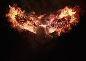fire-animation-photoshop-action-14