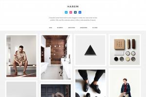 harem-responsive-header-theme
