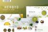 herbyo-organic-tea-store-shopify-theme