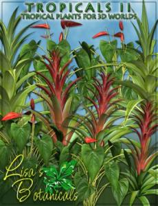 lisa-s-botanicals-tropicals-ii-large