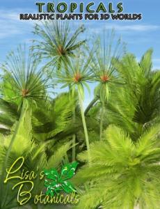 lisa-s-botanicals-tropicals-large