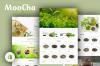 moocha_-_tea_shop_organic_store_shopify_theme