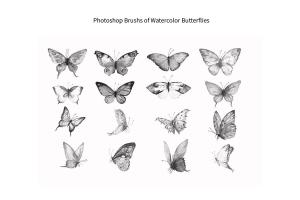 photoshop-brush-watercolor-butterflies-abr-3