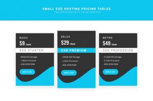 ssd-hosting-small-pricing-tables-psd-14