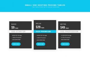 ssd-hosting-small-pricing-tables-psd-23