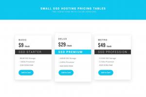 ssd-hosting-small-pricing-tables-psd-3