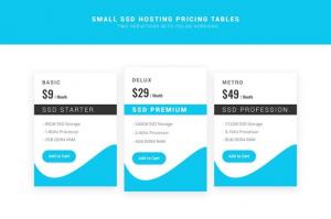 ssd-hosting-small-pricing-tables-psd-42