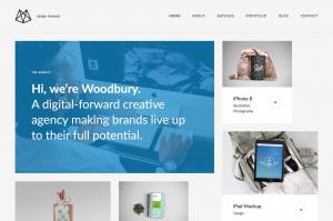 woodbury-agency